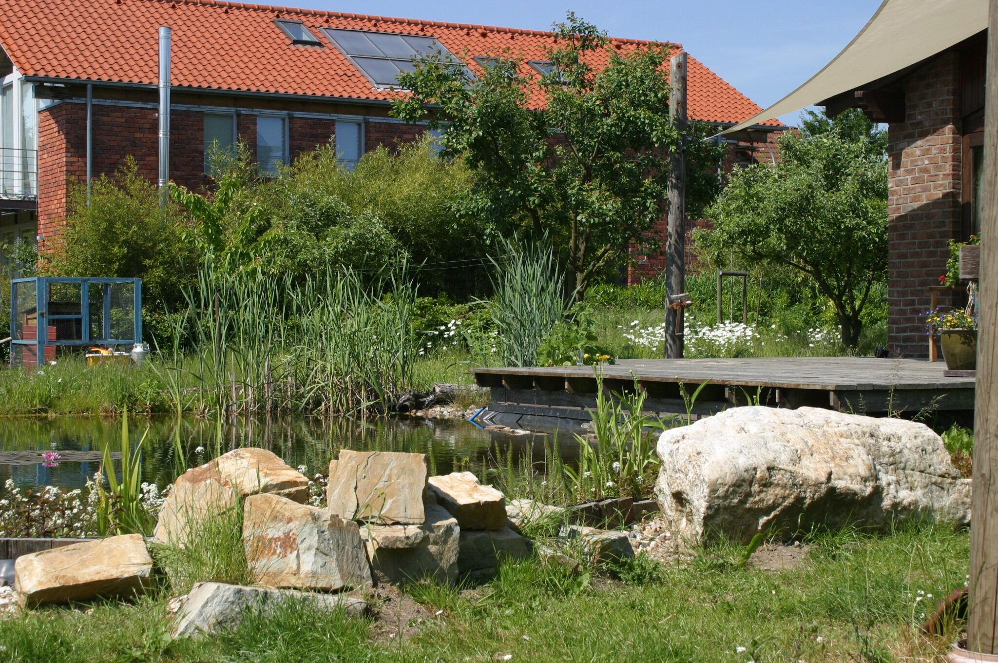 Titelbild 2