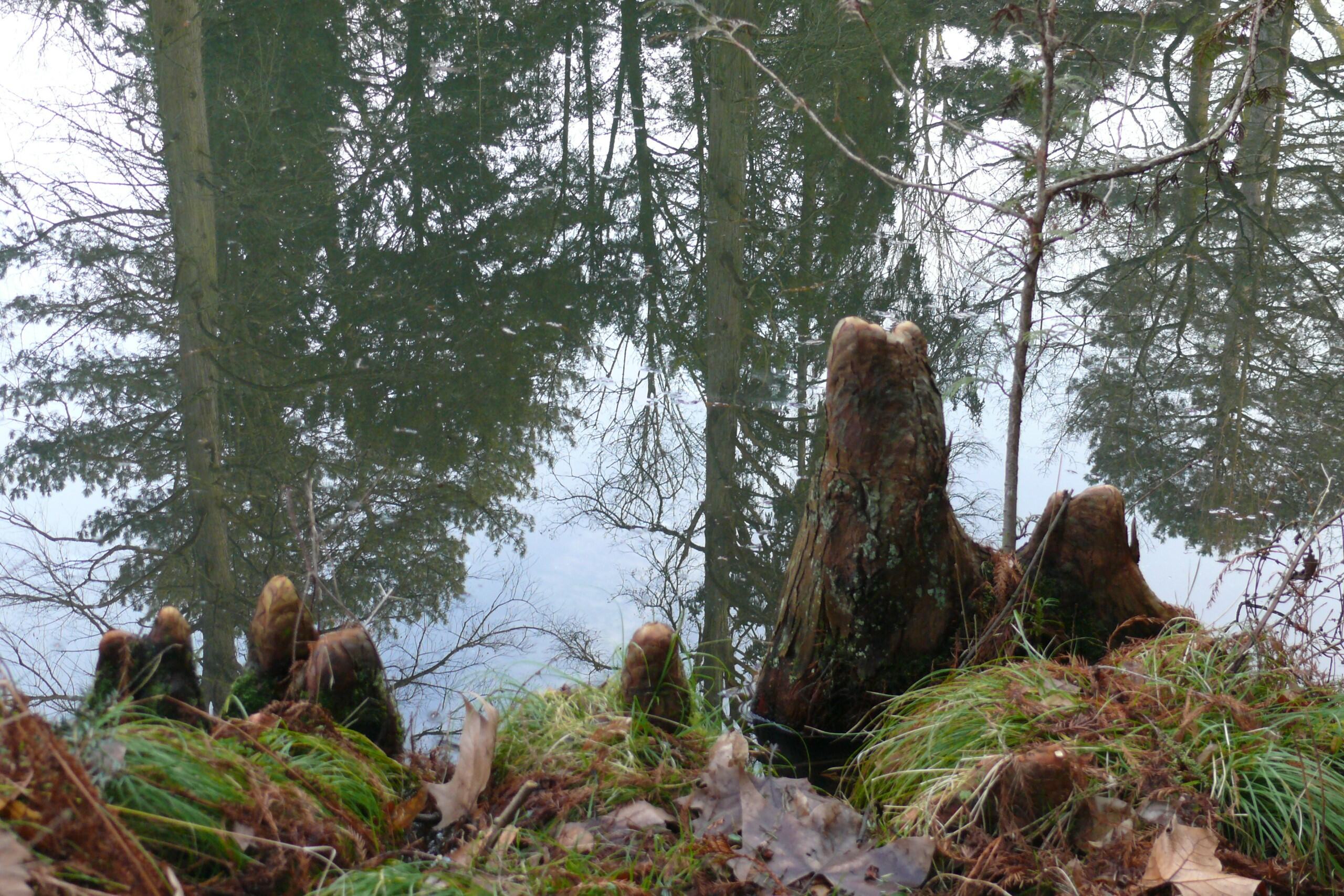 Titelbild 3