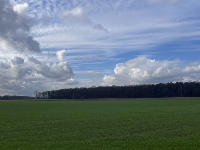 Landschaft
