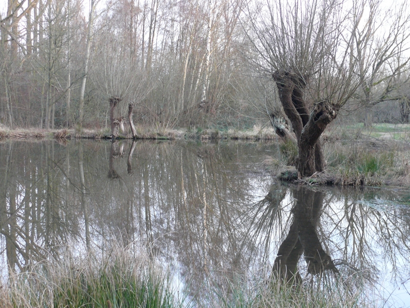 Niederrhein