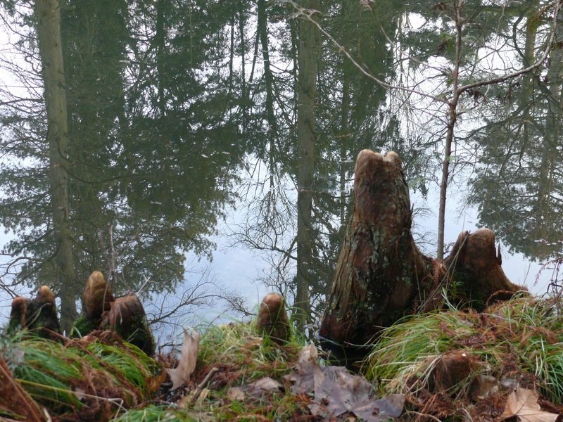Natur- und Artenschutz 4